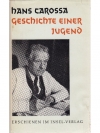 Geschichte einer Jugend