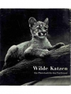 Wilde Katzen