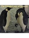 The Private Lives of Animals
