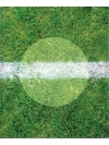 Football - Switzerland 1:1