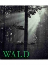 Wald