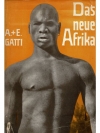 Das neue Afrika