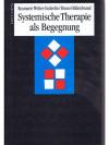 Systemische Therapie als Begegnung