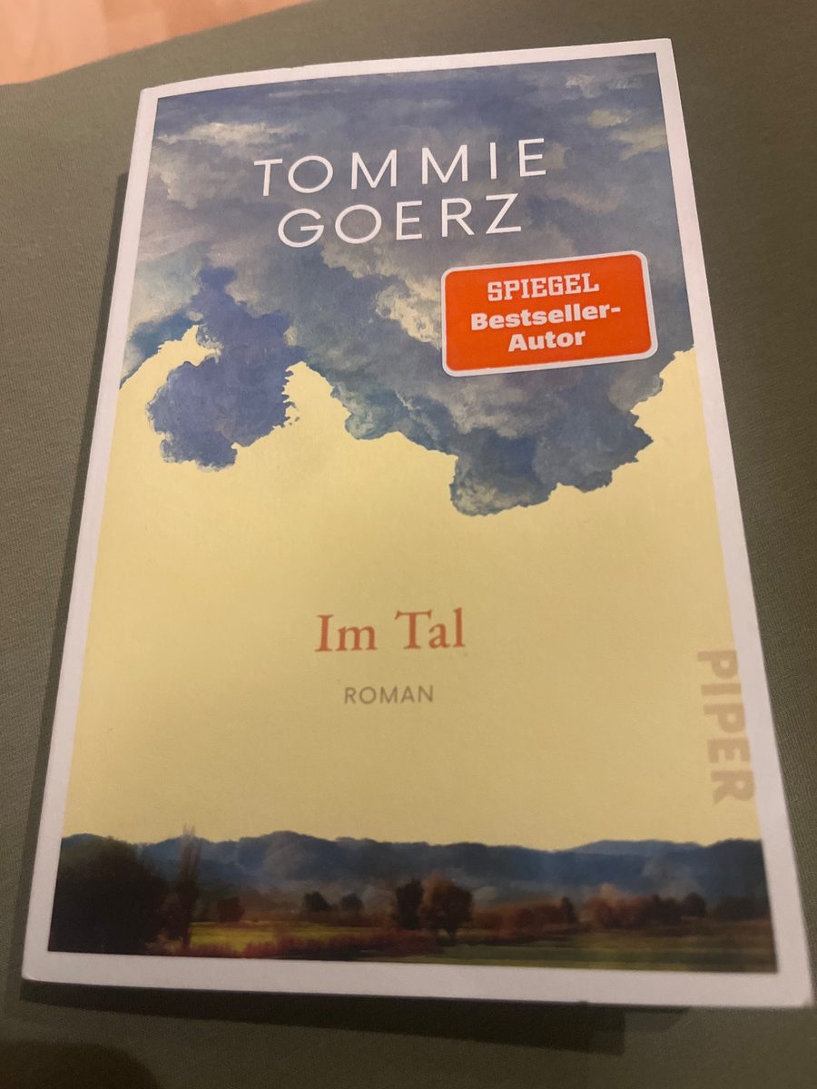 Im Tal. Roman – Tommie Goerz